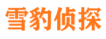 仙居婚外情调查取证